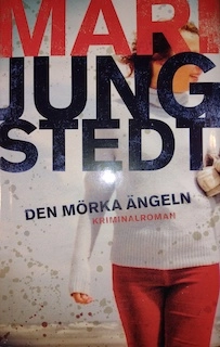 Den mörka ängeln ; Mari Jungstedt; 2008