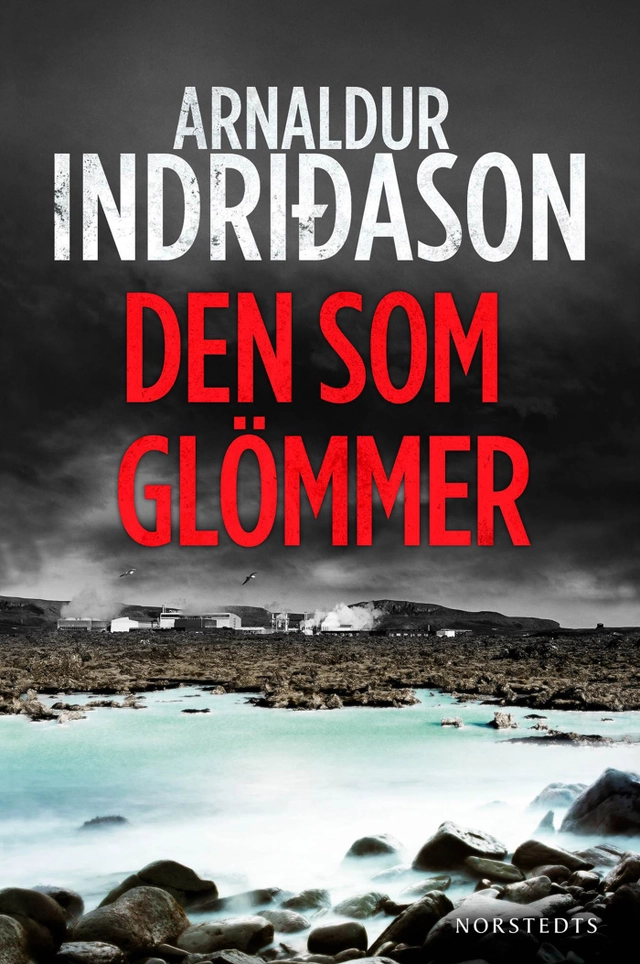 Den som glömmer; Arnaldur Indridason; 2015
