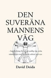 Den suveräna mannens väg : handledning för att på andlig väg möta utmaningen med kvinnor, arbete och; David Deida; 2002