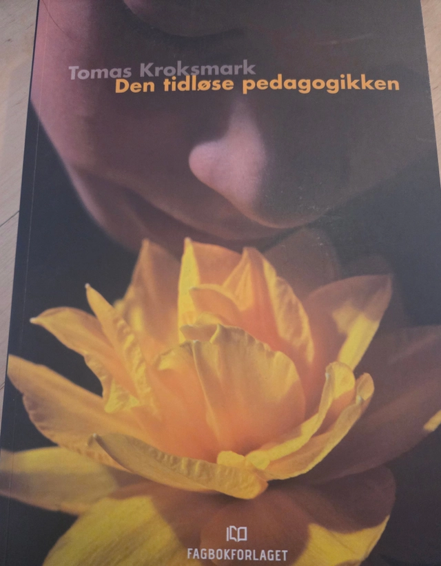 Den tidlöse pedagogikken; Tomas Kroksmark; 2006