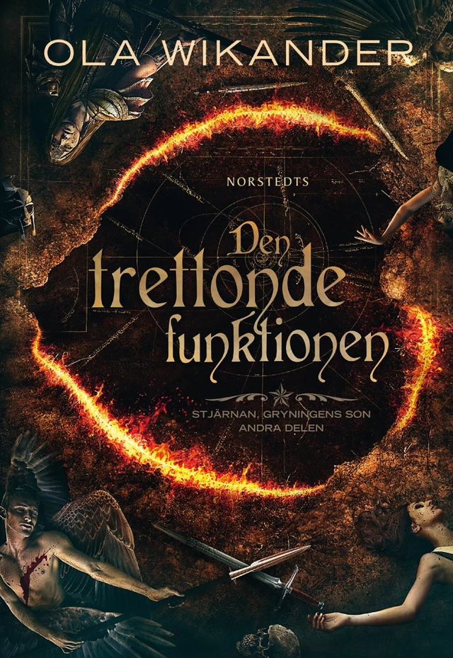 Den trettonde funktionen; Ola Wikander; 2015
