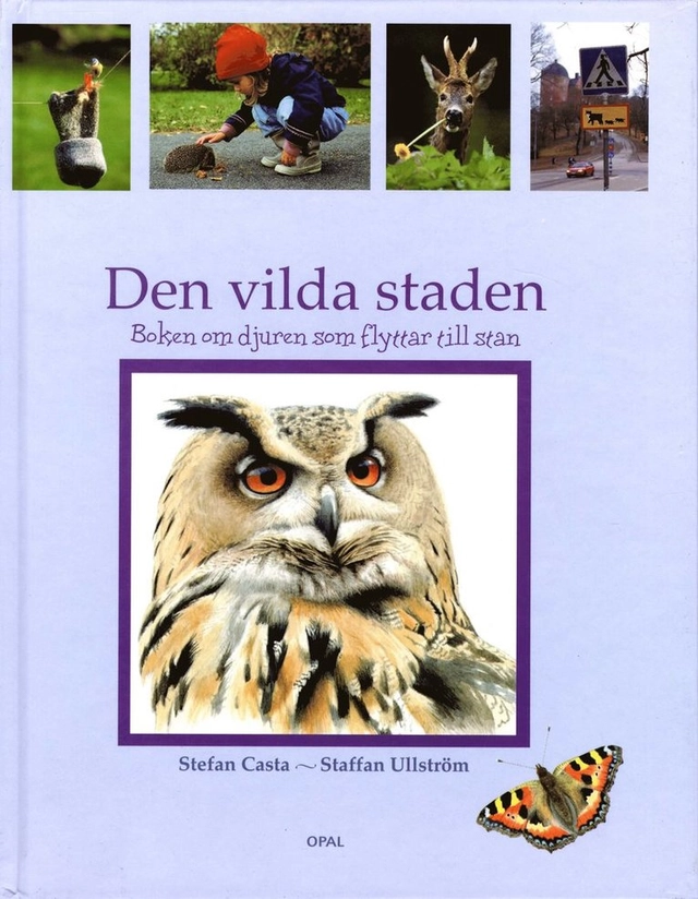 Den vilda staden : boken om djuren som flyttar till stan; Stefan Casta; 2004