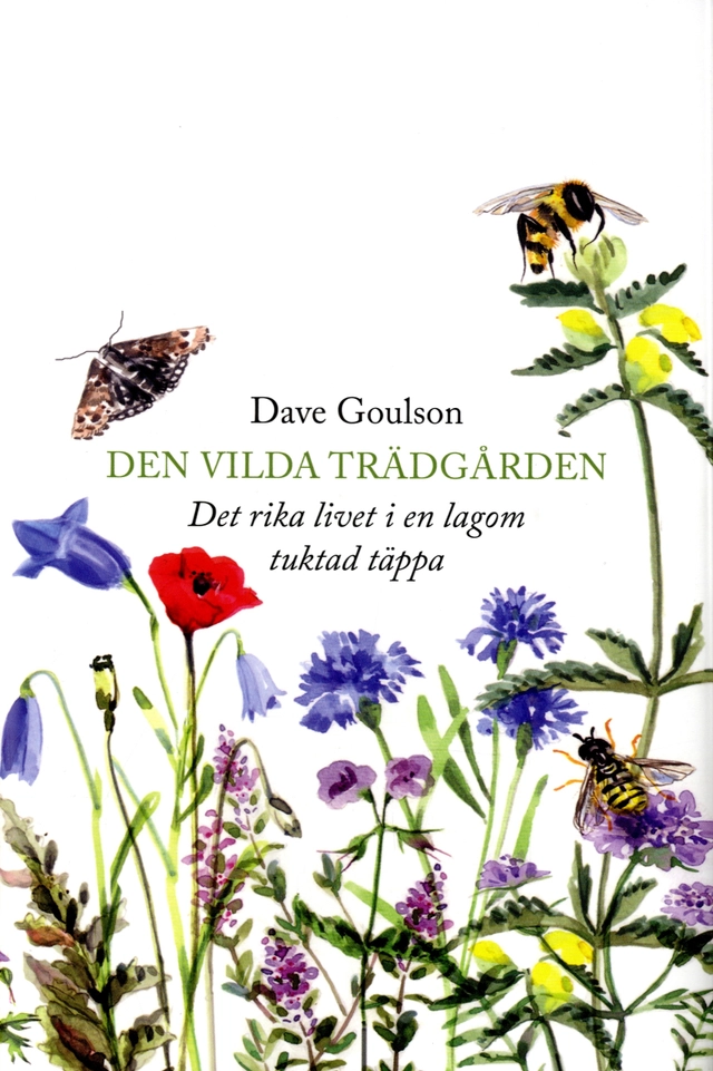 Den vilda trädgården : det rika livet i en lagom tuktad täppa; Dave Goulson; 2020