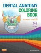 Dental Anatomy Coloring Book; Margaret J Fehrenbach; 2013