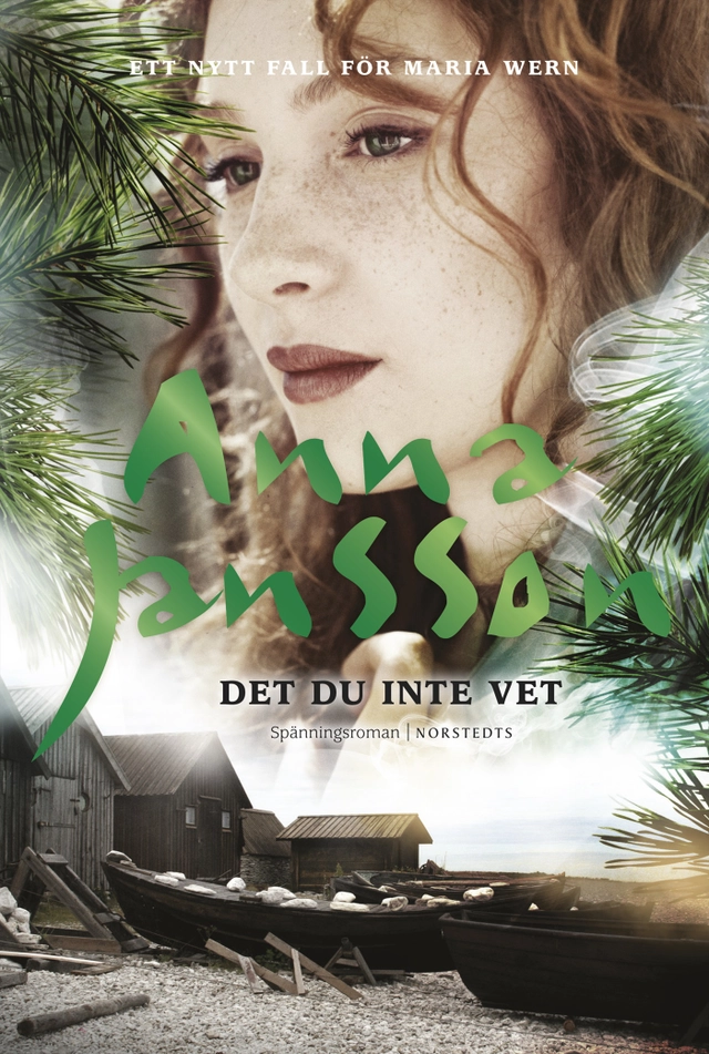 Det du inte vet; Anna Jansson; 2017