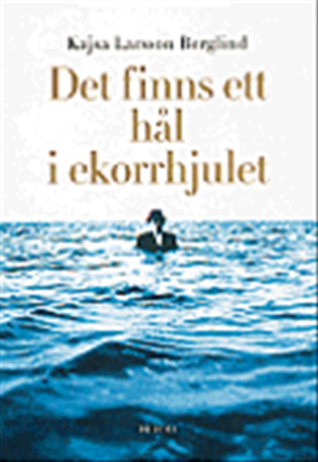 Det finns ett hål i ekorrhjulet : På jakt efter balans i livet; Kajsa Larsson Berglind; 1999