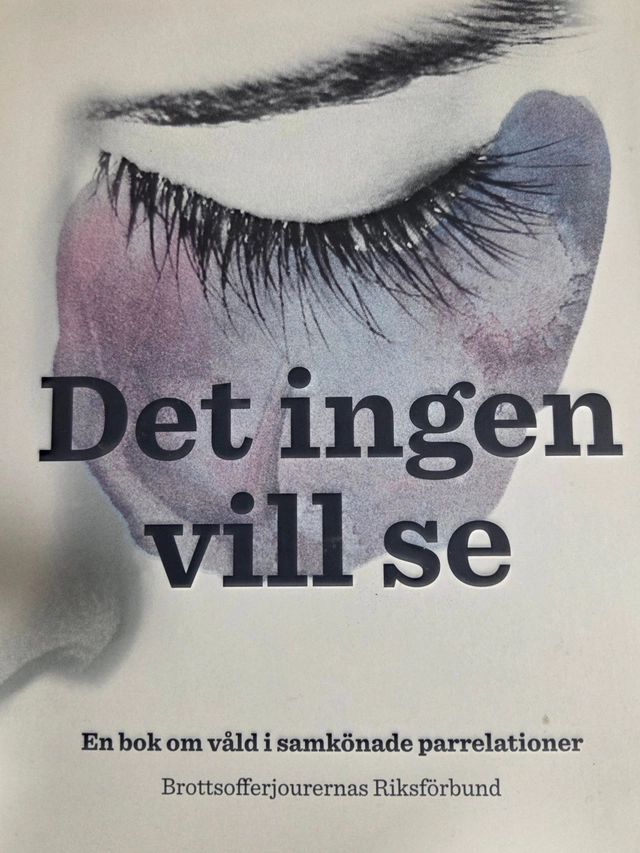 Det ingen vill se : en bok om våld i samkönade parrelationer; Anna Knöfel Magnusson; 2010