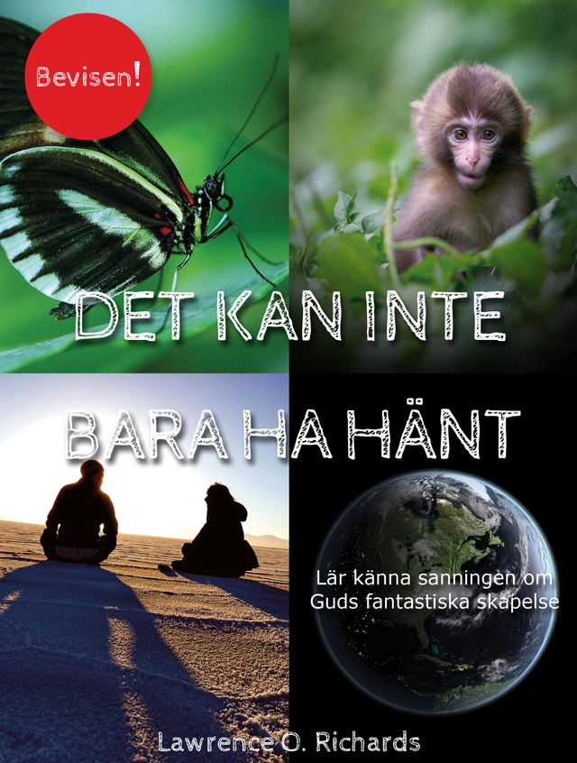 Det kan inte bara ha hänt : lär känna sanningen om Guds fantastiska skapelse; Lawrence O. Richards; 2013