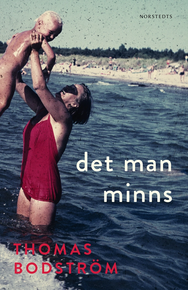Det man minns; Thomas Bodström; 2014
