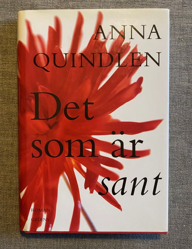 Det som är sant : [roman]; Anna Quindlen; 1996