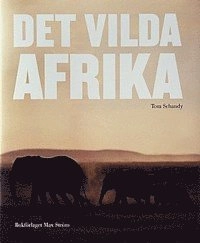 Det vilda Afrika; Tom Schandy; 2003