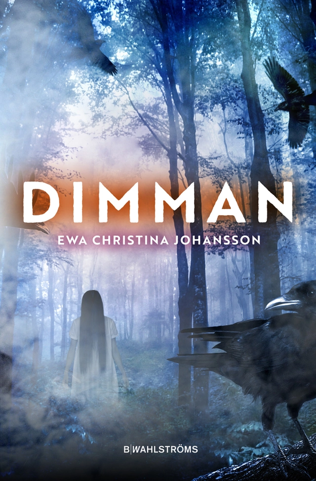 Dimman; Ewa Christina Johansson; 2019