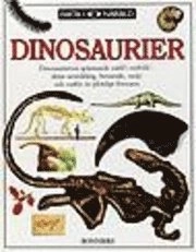 Dinosaurier; David Norman; 2000