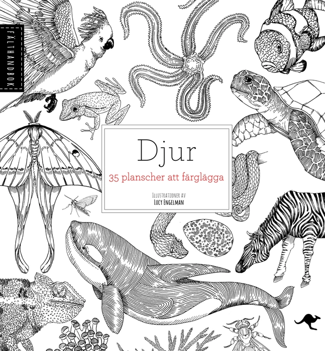 Djur : 35 planscher att färglägga; Val Davies; 2015