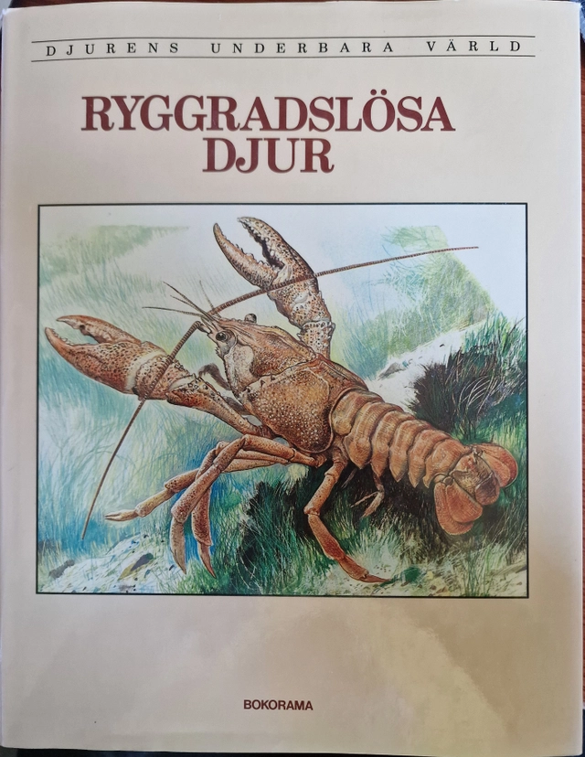 Djurens underbara värld · Ryggradslösa djur,, 1; Alessandro Minelli; 1983