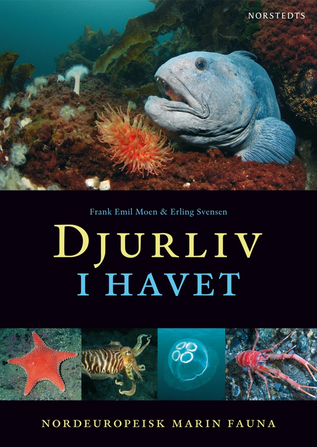 Djurliv i havet  : nordeuropeisk marin fauna; Frank Emil Moen; 2009