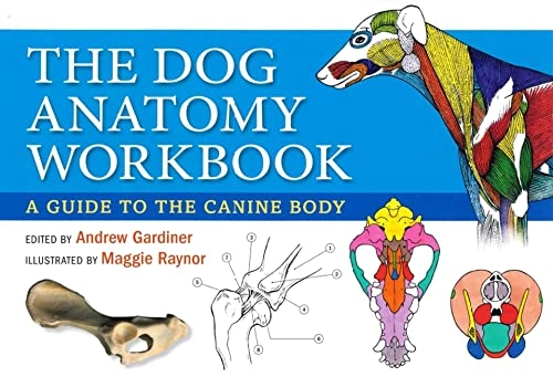 Dog Anatomy Workbook; Andrew Gardiner, Claire Phillips; 2014