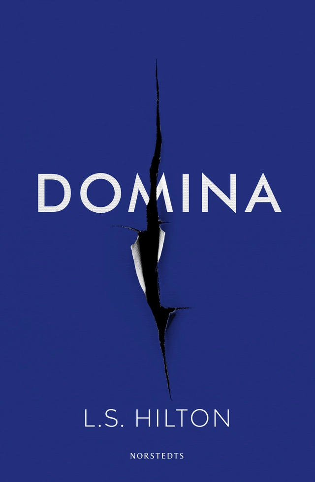 Domina; L. S. Hilton; 2017