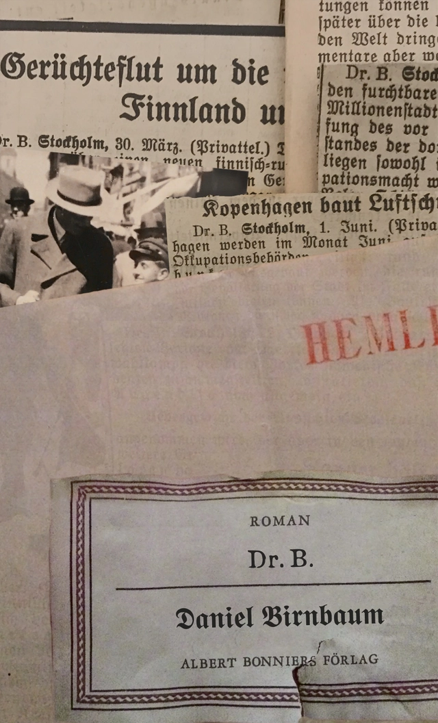 Dr B; Daniel Birnbaum; 2018