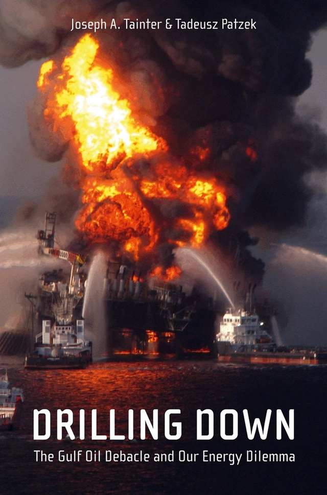Drilling down : the Gulf oil debacle and our energy dilemma; Joseph A. Tainter, Tadeusz W. Patzek; 2011
