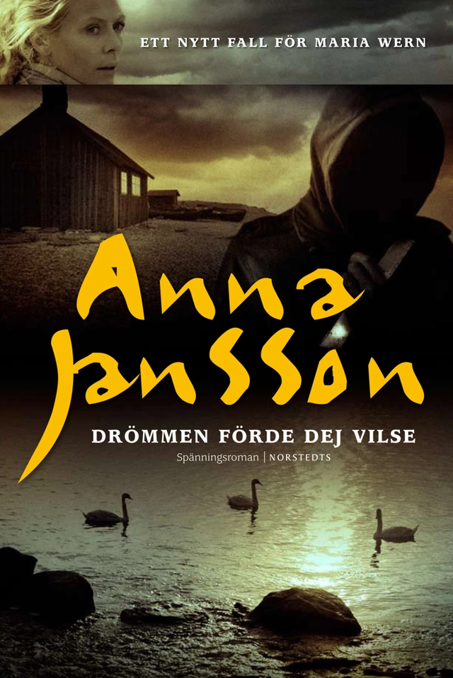 Drömmen förde dej vilse; Anna Jansson; 2010