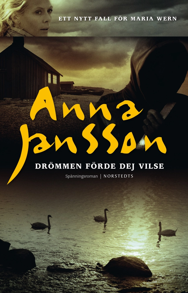 Drömmen förde dej vilse; Anna Jansson; 2010
