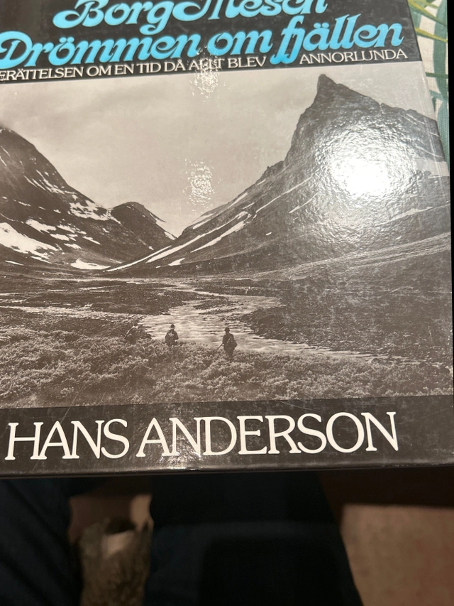 Drömmen om fjällen : berättelser om en tid då allt blev annorlunda; Borg Mesch; 1986