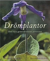 Drömplantor : den nya generationen perenner; Piet Oudolf, Henk Gerritsen; 2002