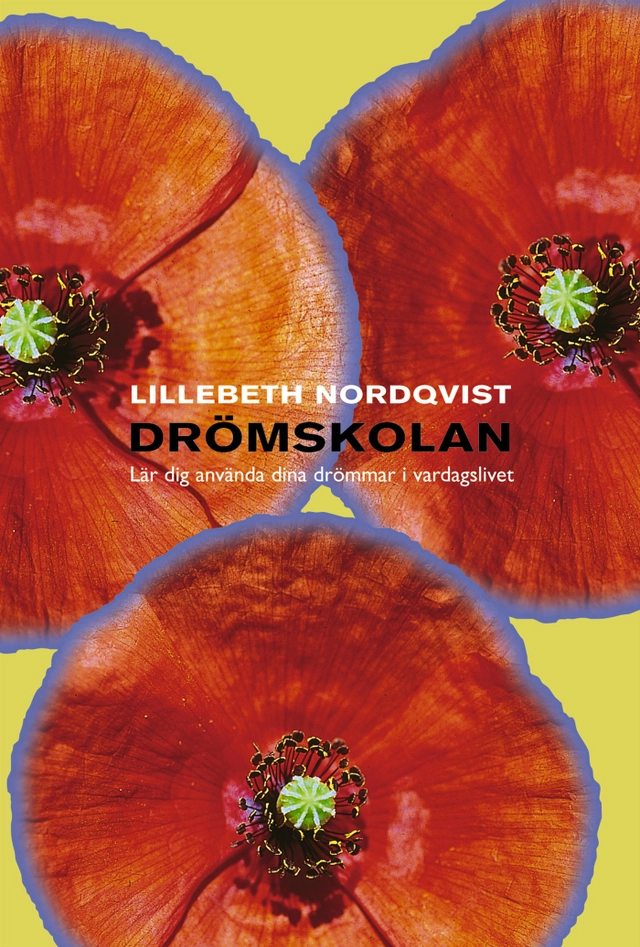 Drömskolan : Lär dig använda dina drömmar i vardagslivet; Lillebeth Nordqvist; 2001