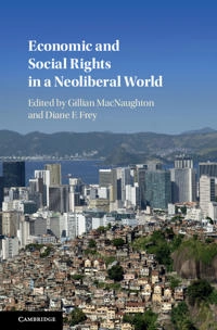 Economic and social rights in a neoliberal world; Gillian MacNaughton, Diane F. Frey; 2018