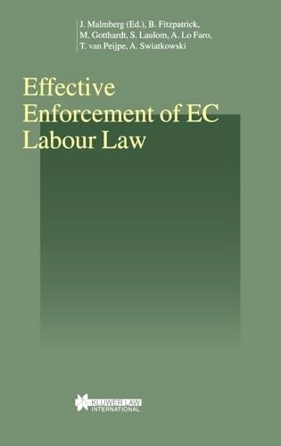 Effective enforcement of EC labour law; Barry Fitzpatrick; 2003