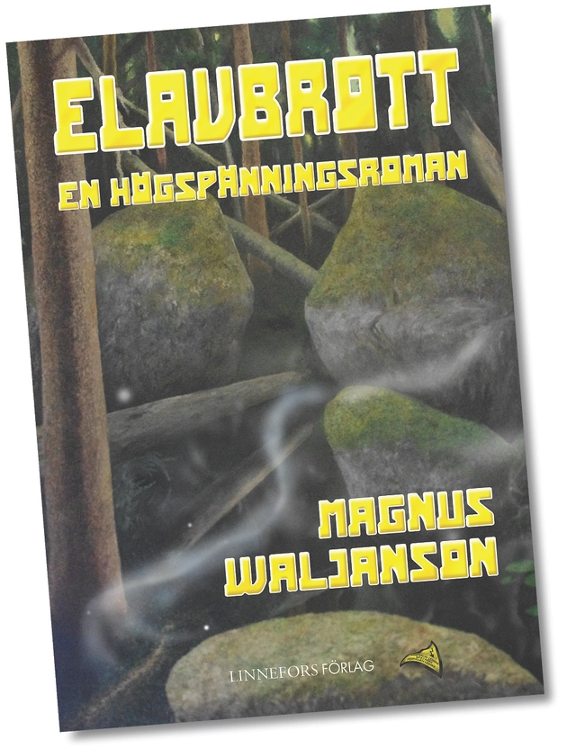 Elavbrott; Magnus Waljanson; 2013