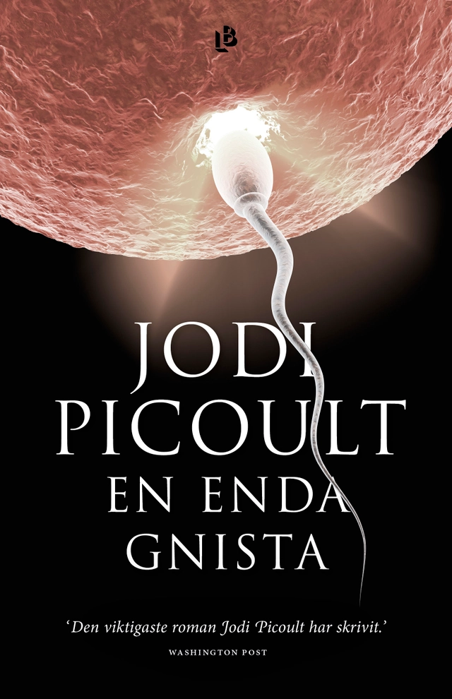 En enda gnista; Jodi Picoult; 2020