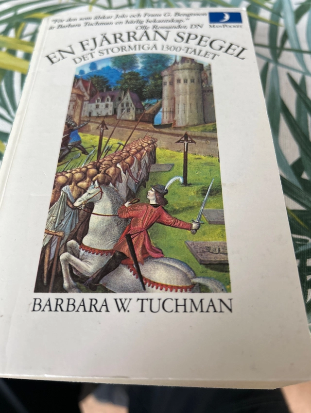En fjärran spegel : det stormiga 1300-talet; Tuchman; 1983