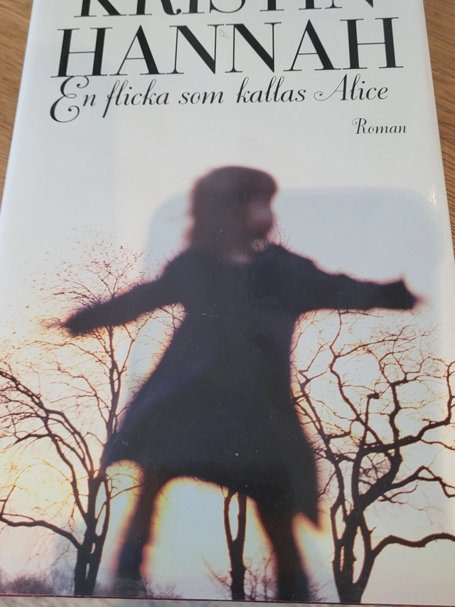 En flicka som kallas Alice; Kristin Hannah; 2007