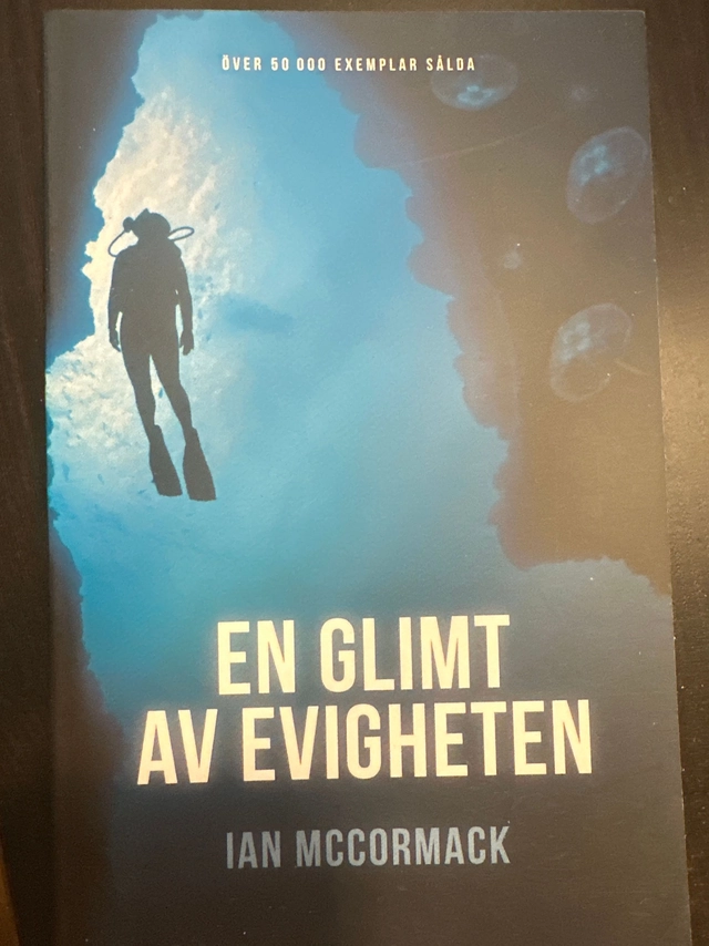 En glimt av evigheten; Ian McCormack; 2008