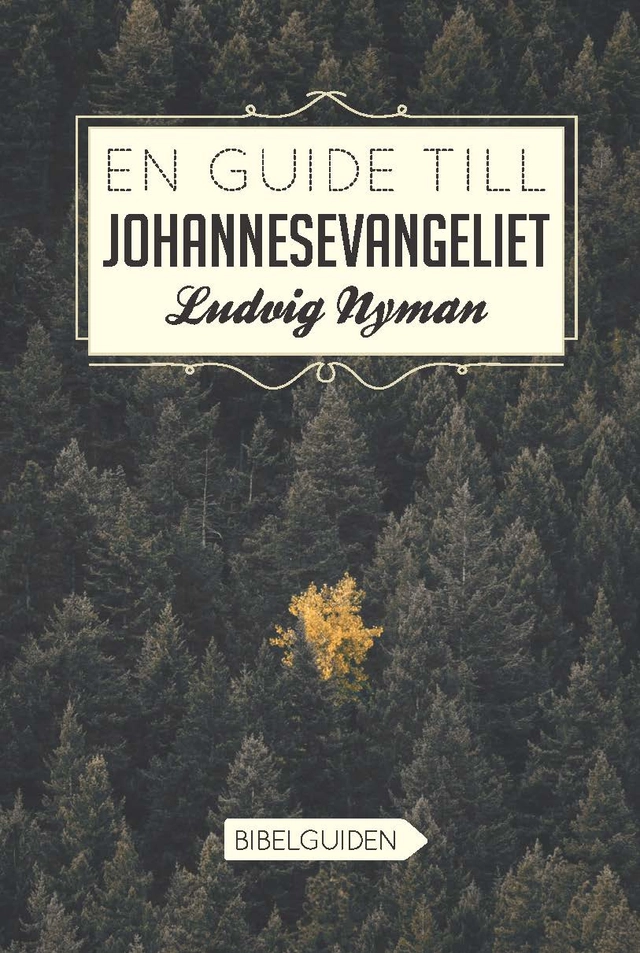 En guide till Johannesevangeliet; Ludvig Nyman; 2019