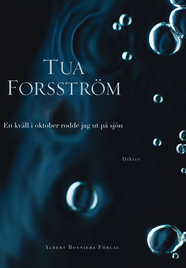 En kväll i oktober rodde jag ut på sjön; Tua Forsström; 2013