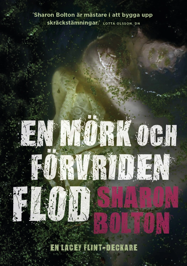En mörk och förvriden flod; S. J. Bolton; 2014