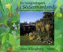 En trädgårdspark i Södermanland : antroposofernas trädgård i Ytterjärna; Arne Klingborg; 1999