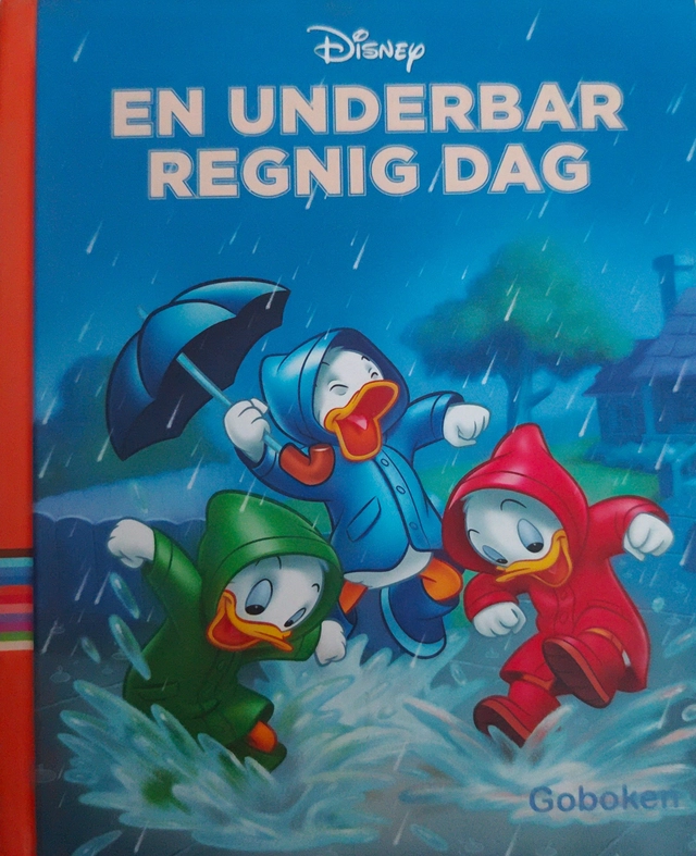 En underbar regnig dag; Kate Ritchey; 2017