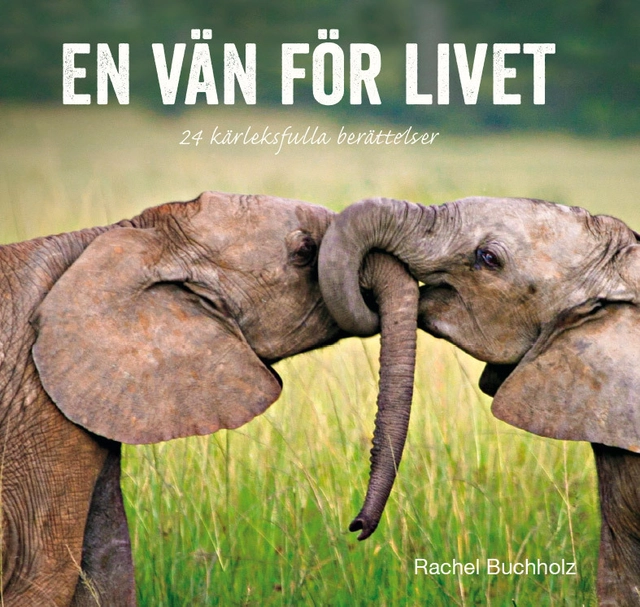 En vän för livet : kärleksfulla berättelser och citat; Rachel Buchholz; 2014