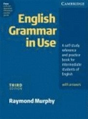 English Grammar In Use Klett Edition; Murphy Raymond; 2004