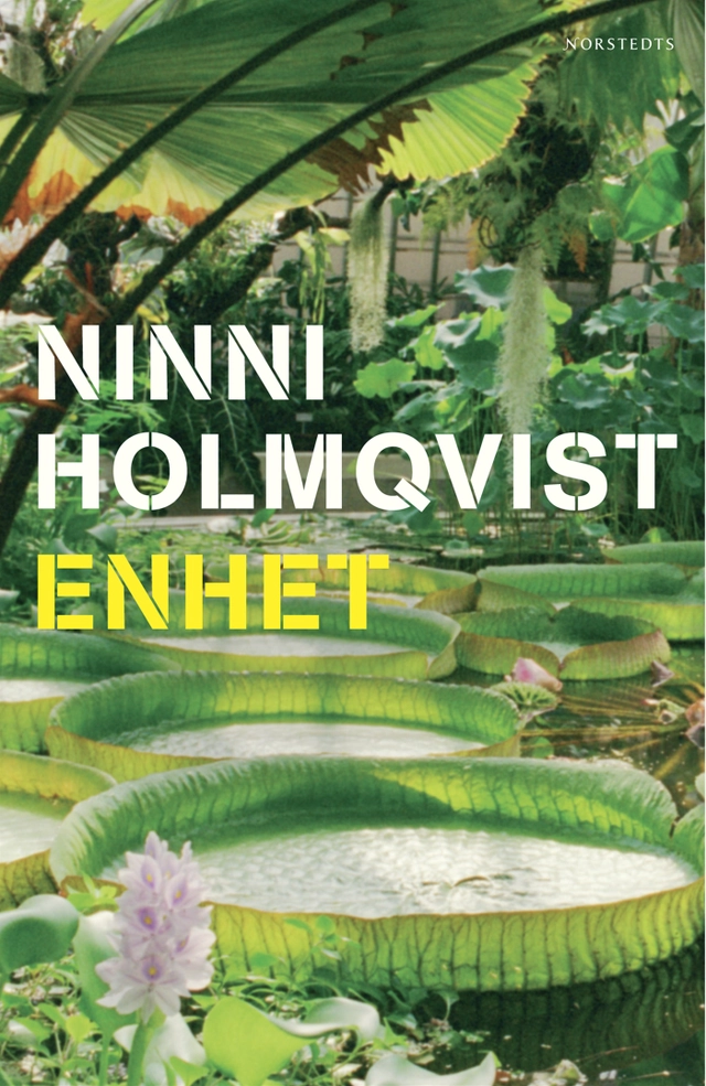 Enhet; Ninni Holmqvist; 2006