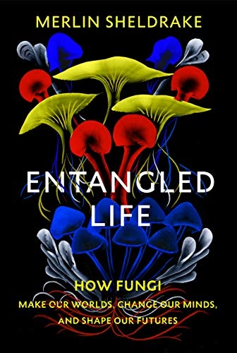 Entangled life : how fungi make our worlds, change our minds and shape our futures; Merlin Sheldrake; 2020