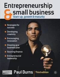 Entrepreneurship and small business : start-up, growth and maturity; Paul Burns; 2011
