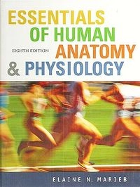 Essentials of Human Anatomy and Physiology; Elaine Nicpon Marieb
