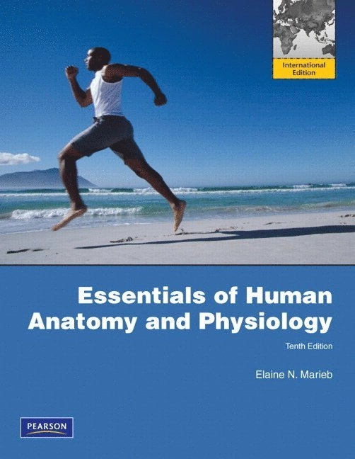 Essentials of human anatomy and physiology; Elaine Nicpon Marieb; 2010