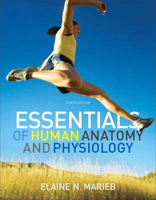 Essentials of human anatomy & physiology; Elaine Nicpon Marieb; 2012
