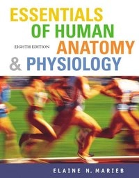 Essentials of human anatomy & physiology; Elaine Nicpon Marieb; 2006